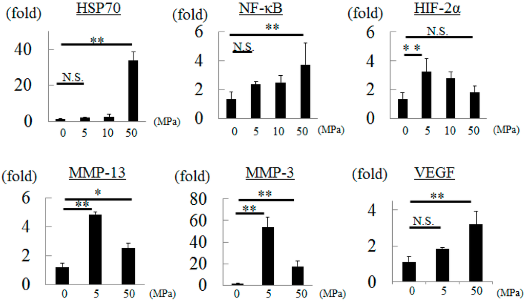 Ijms 16 01043 g002 1024