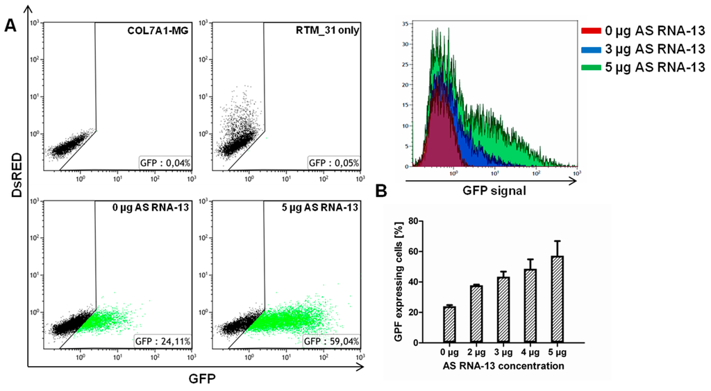 Ijms 16 01179 g003 1024