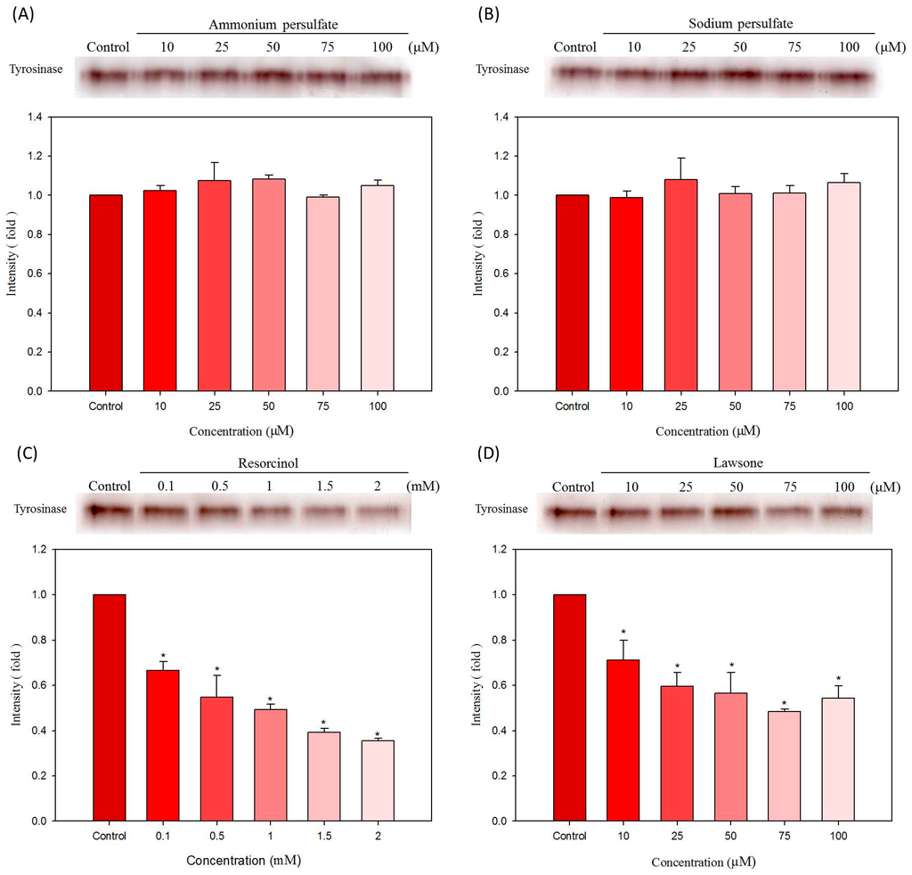 Ijms 16 01495 g006 1024