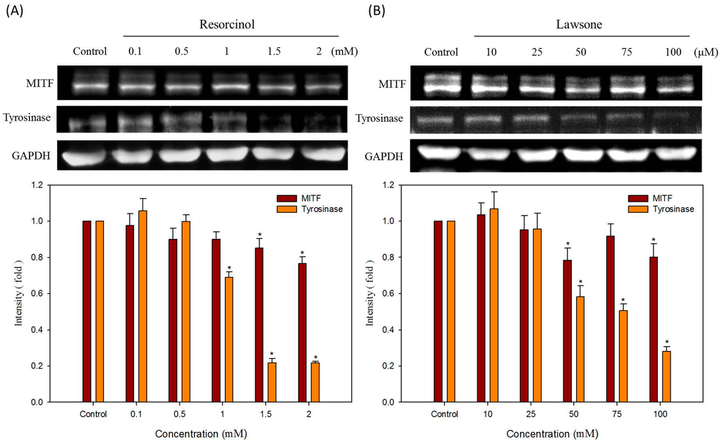 Ijms 16 01495 g007 1024