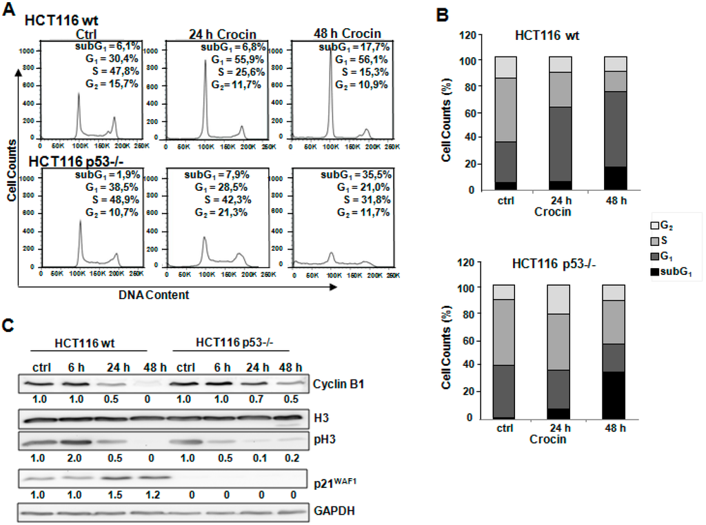 Ijms 16 01544 g002 1024