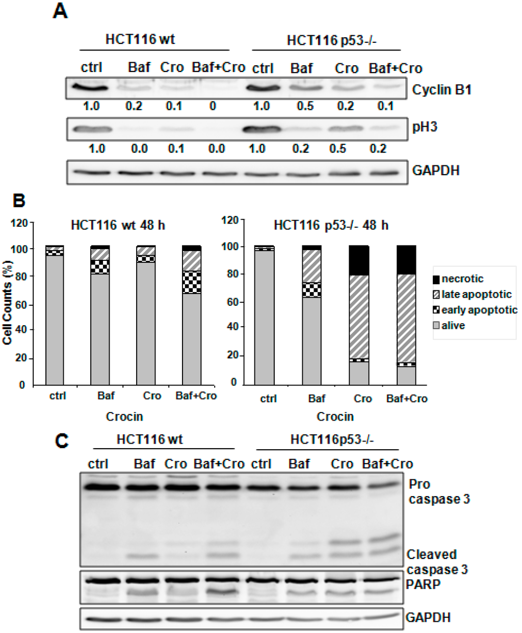 Ijms 16 01544 g005a 1024