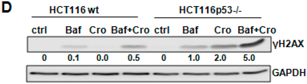 Ijms 16 01544 g005b 1024