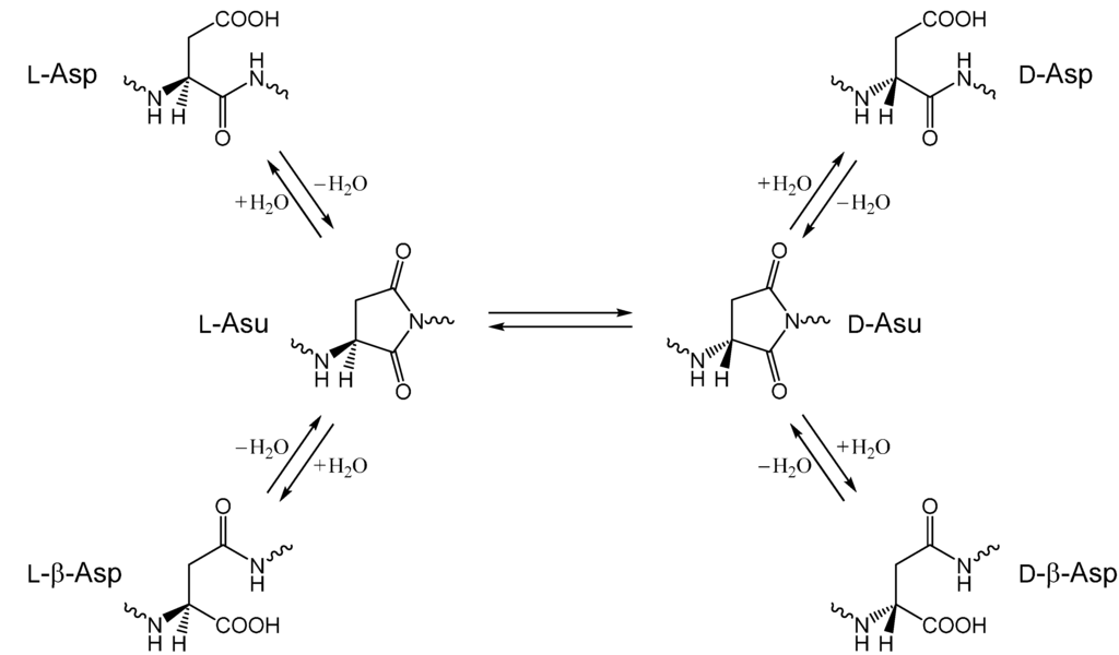Ijms 16 01613 g010 1024