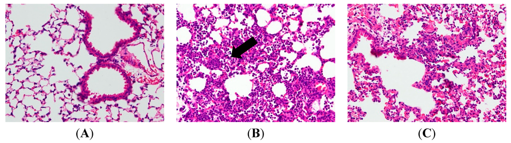 Ijms 16 01736 g002a 1024