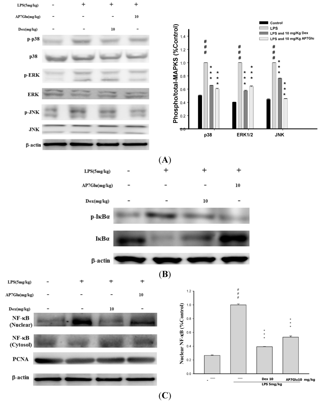 Ijms 16 01736 g008 1024