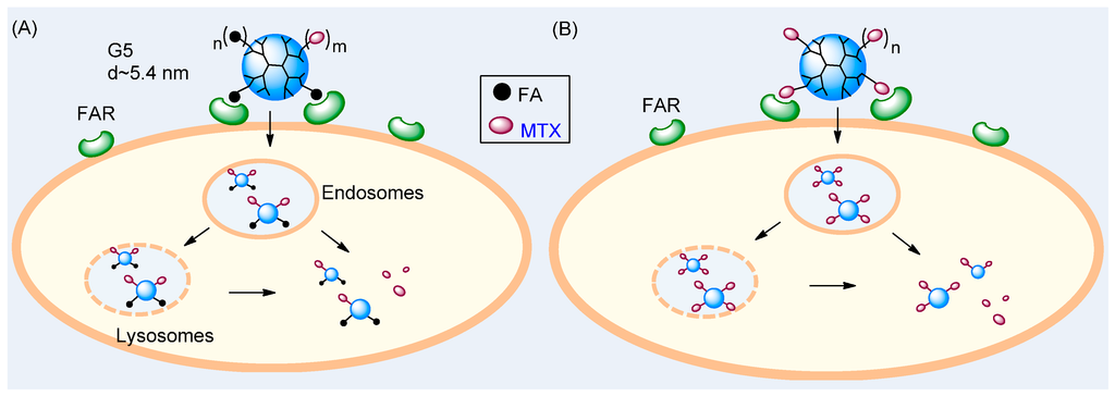 Ijms 16 01772 g001 1024