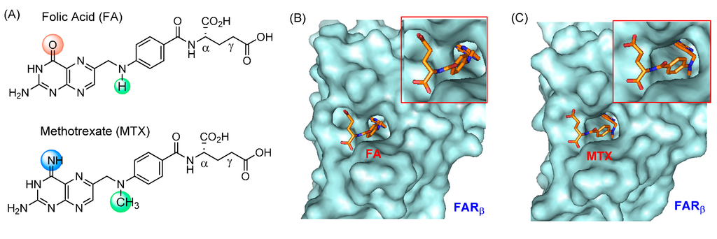 Ijms 16 01772 g002 1024