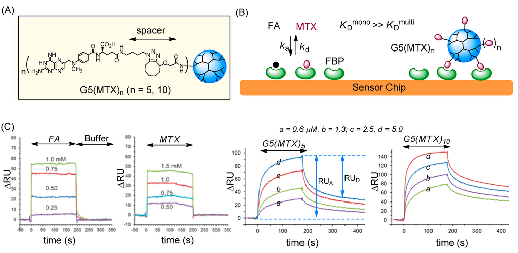 Ijms 16 01772 g003 1024