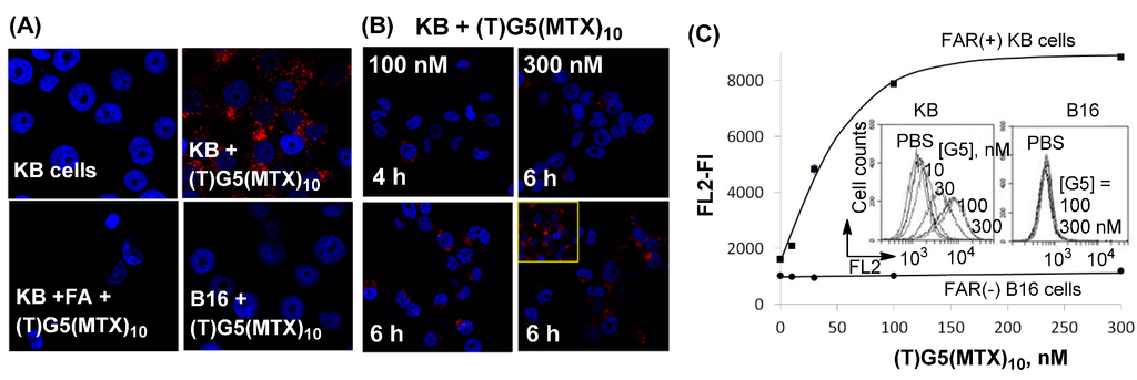 Ijms 16 01772 g004 1024