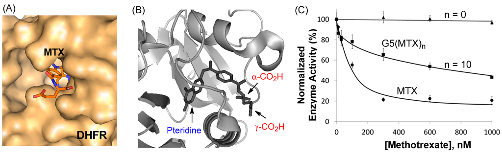 Ijms 16 01772 g005 1024