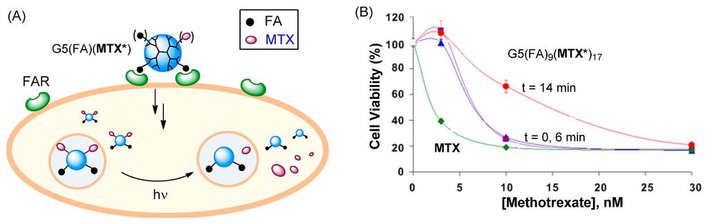Ijms 16 01772 g007 1024