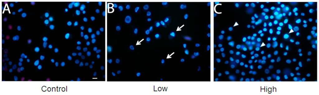 Ijms 16 01821 g004 1024