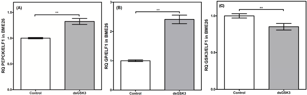 Ijms 16 01821 g008 1024
