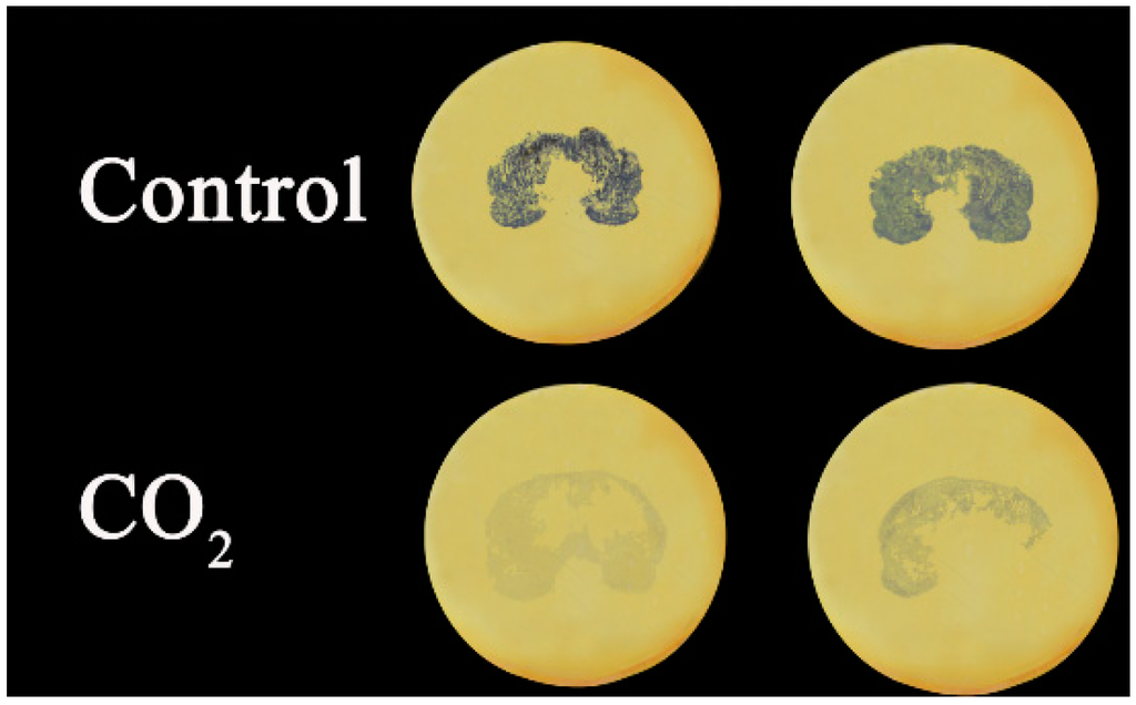 Ijms 16 01894 g002 1024