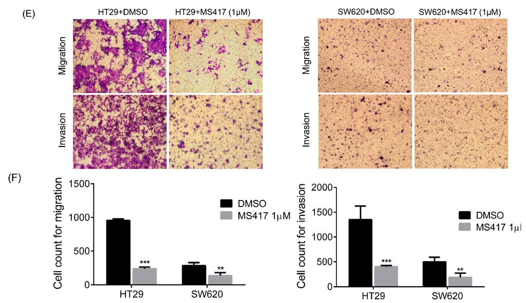 Ijms 16 01928 g002b 1024