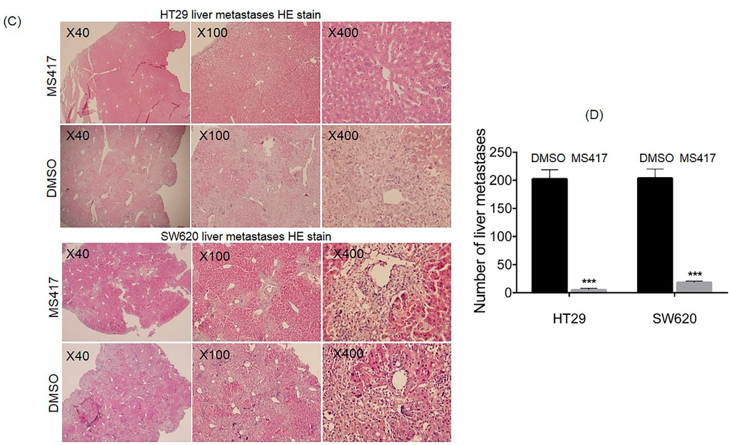 Ijms 16 01928 g005b 1024