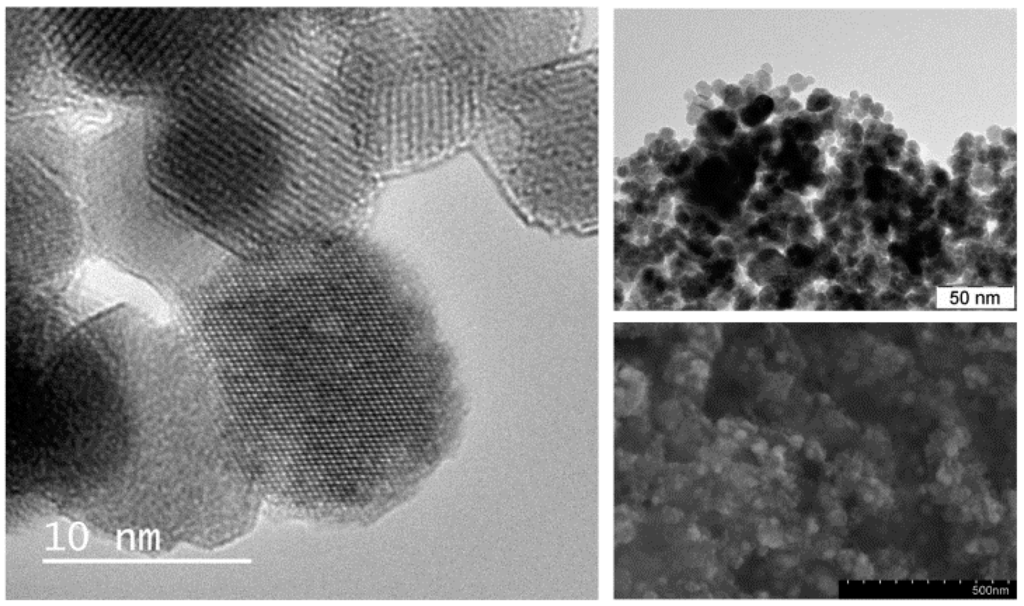 Ijms 16 02034 g002 1024