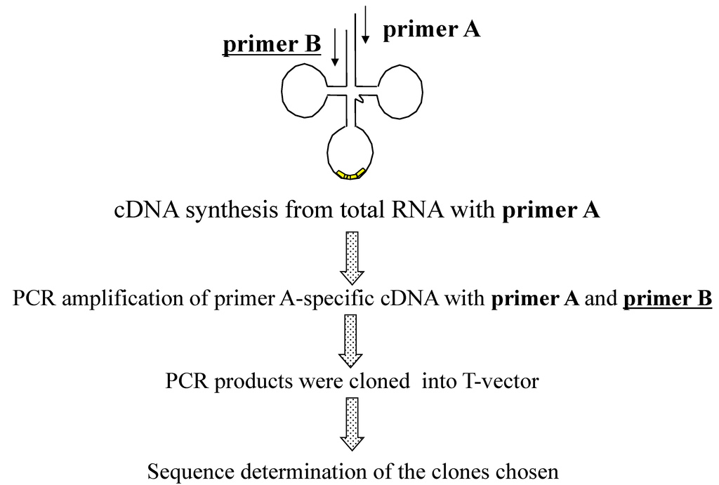 Ijms 16 02187 g001 1024