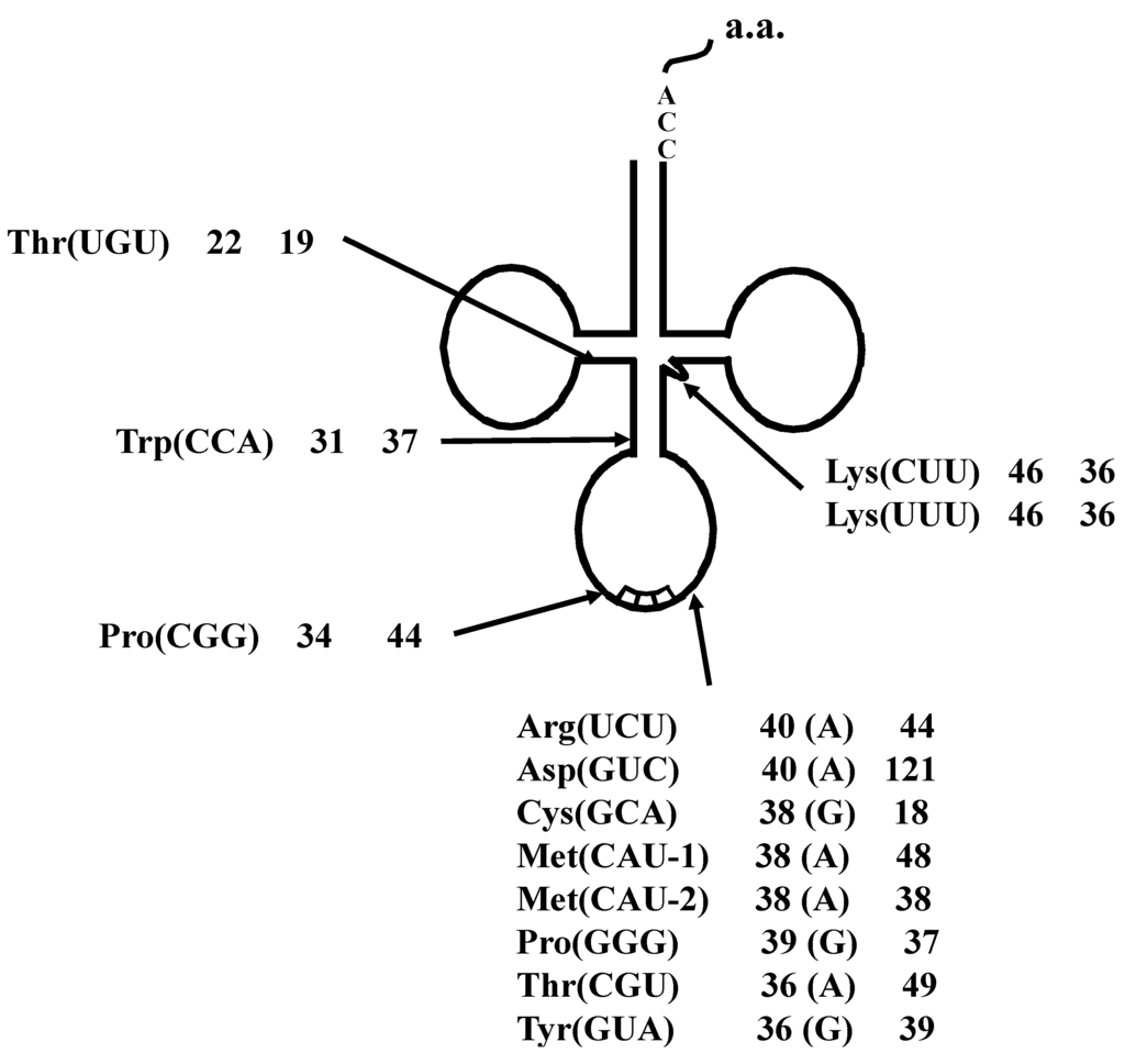 Ijms 16 02187 g003 1024