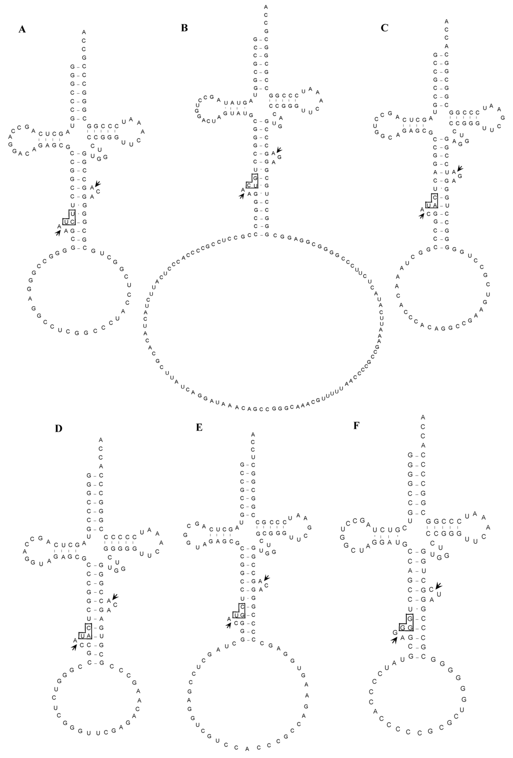 Ijms 16 02187 g004a 1024