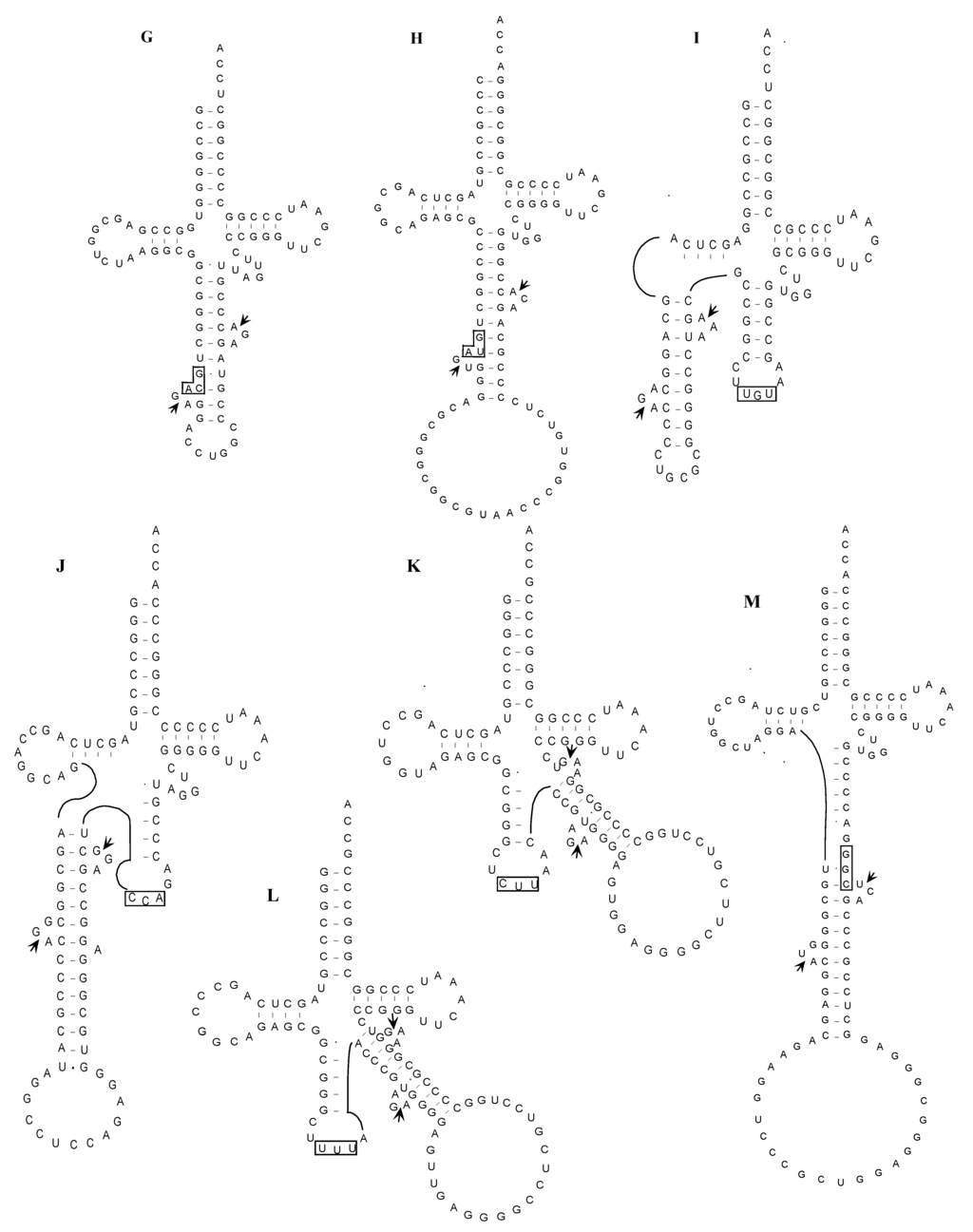 Ijms 16 02187 g004b 1024