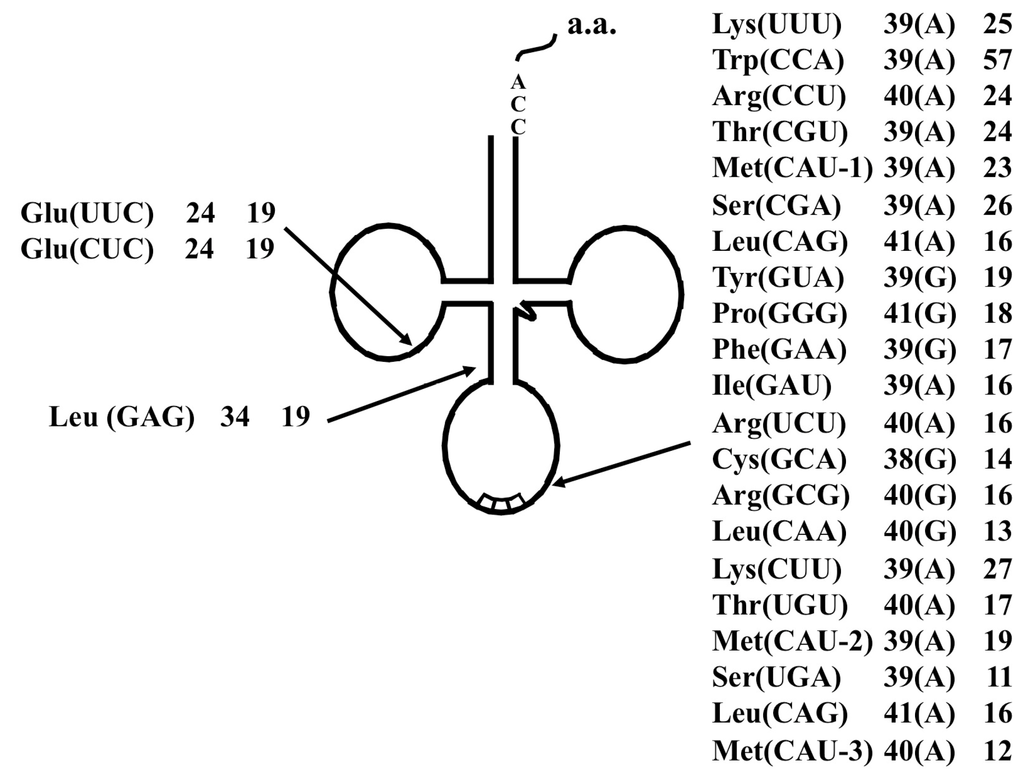 Ijms 16 02187 g005 1024