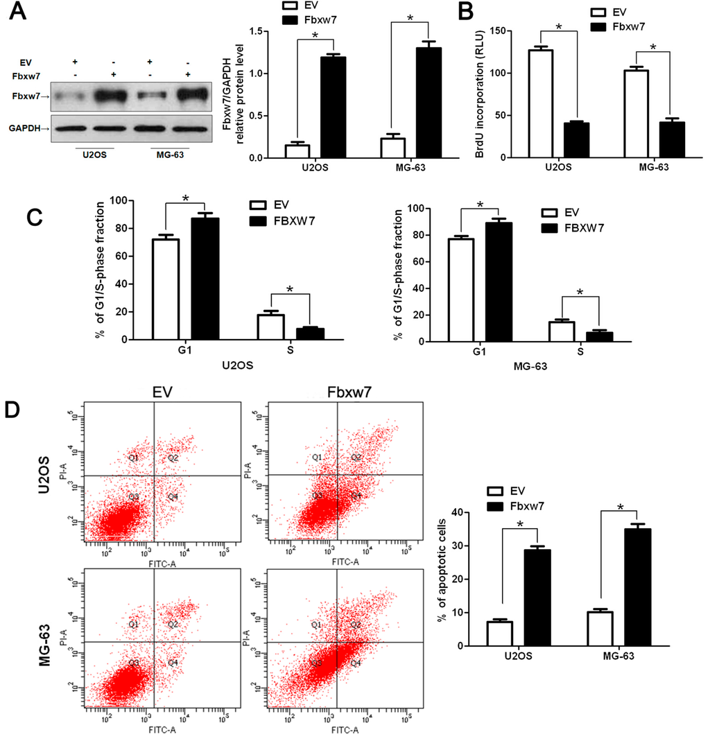 Ijms 16 02294 g003 1024