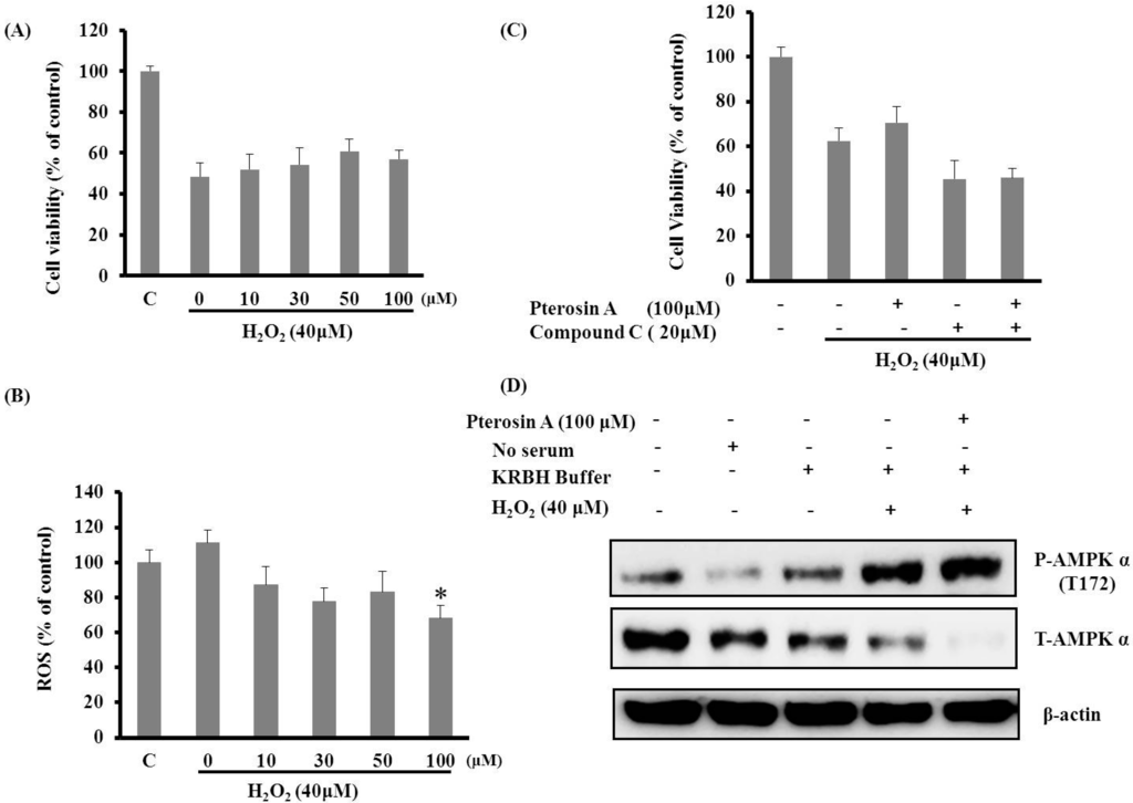 Ijms 16 02497 g006 1024