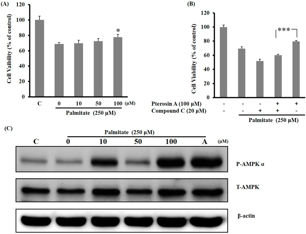 Ijms 16 02497 g007 1024