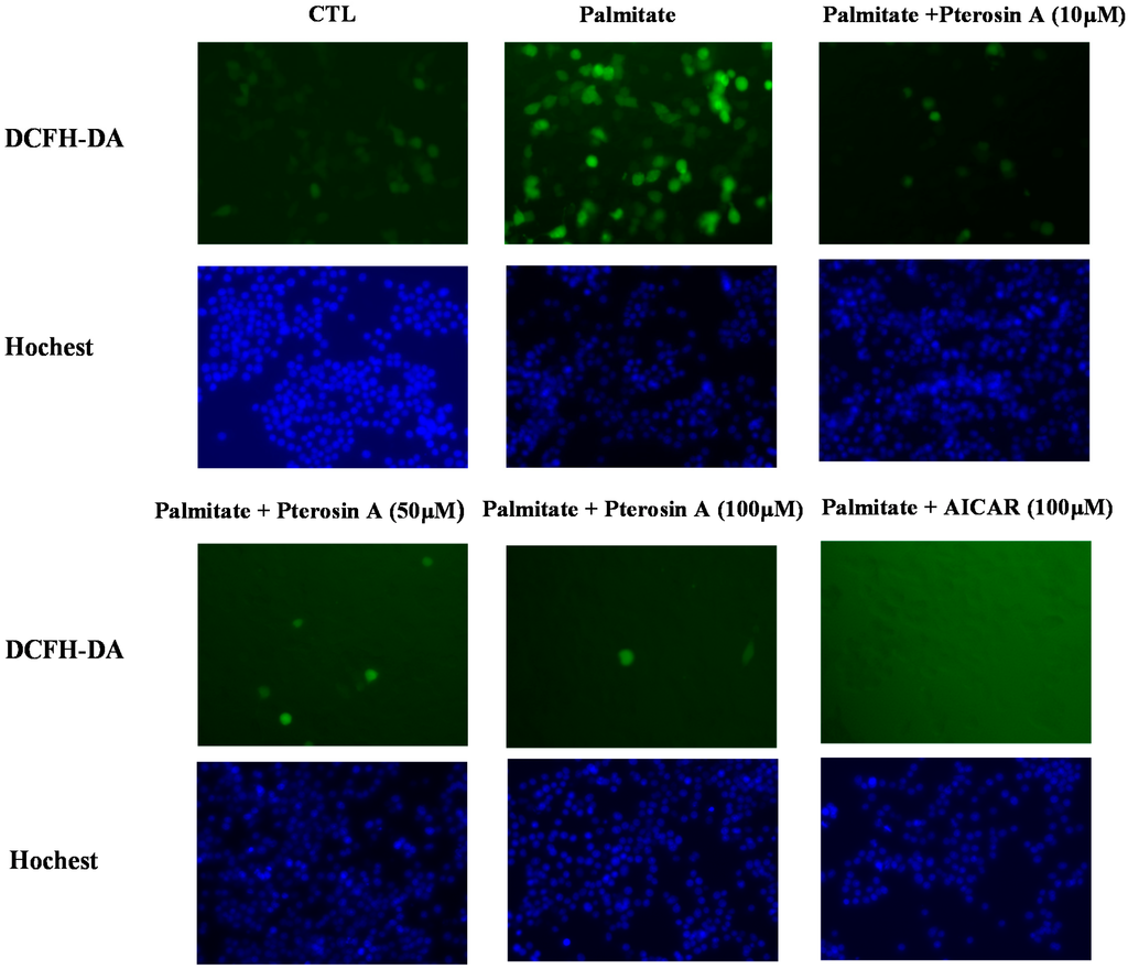 Ijms 16 02497 g008 1024