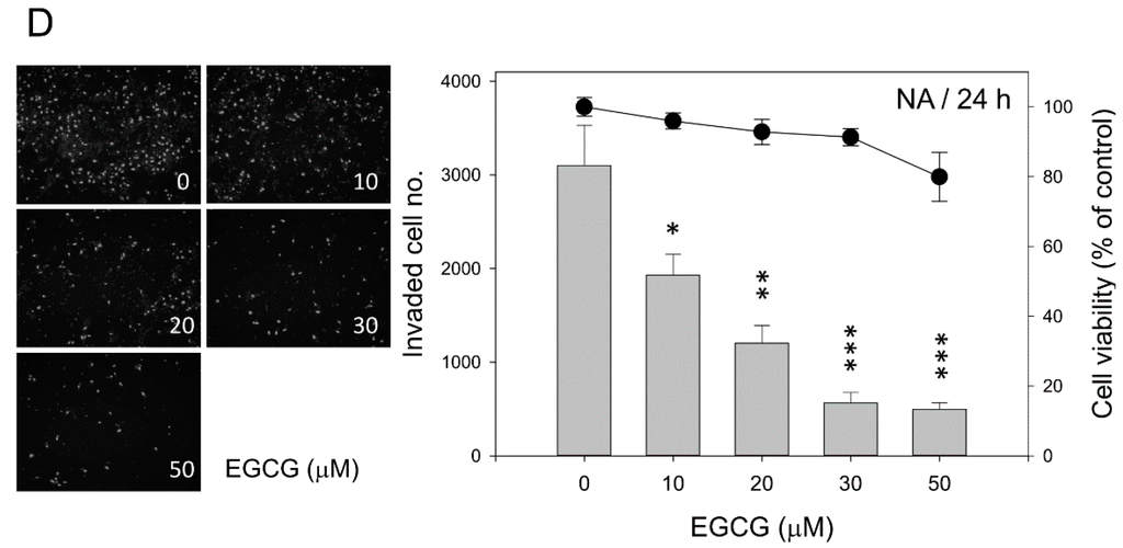 Ijms 16 02530 g002b 1024