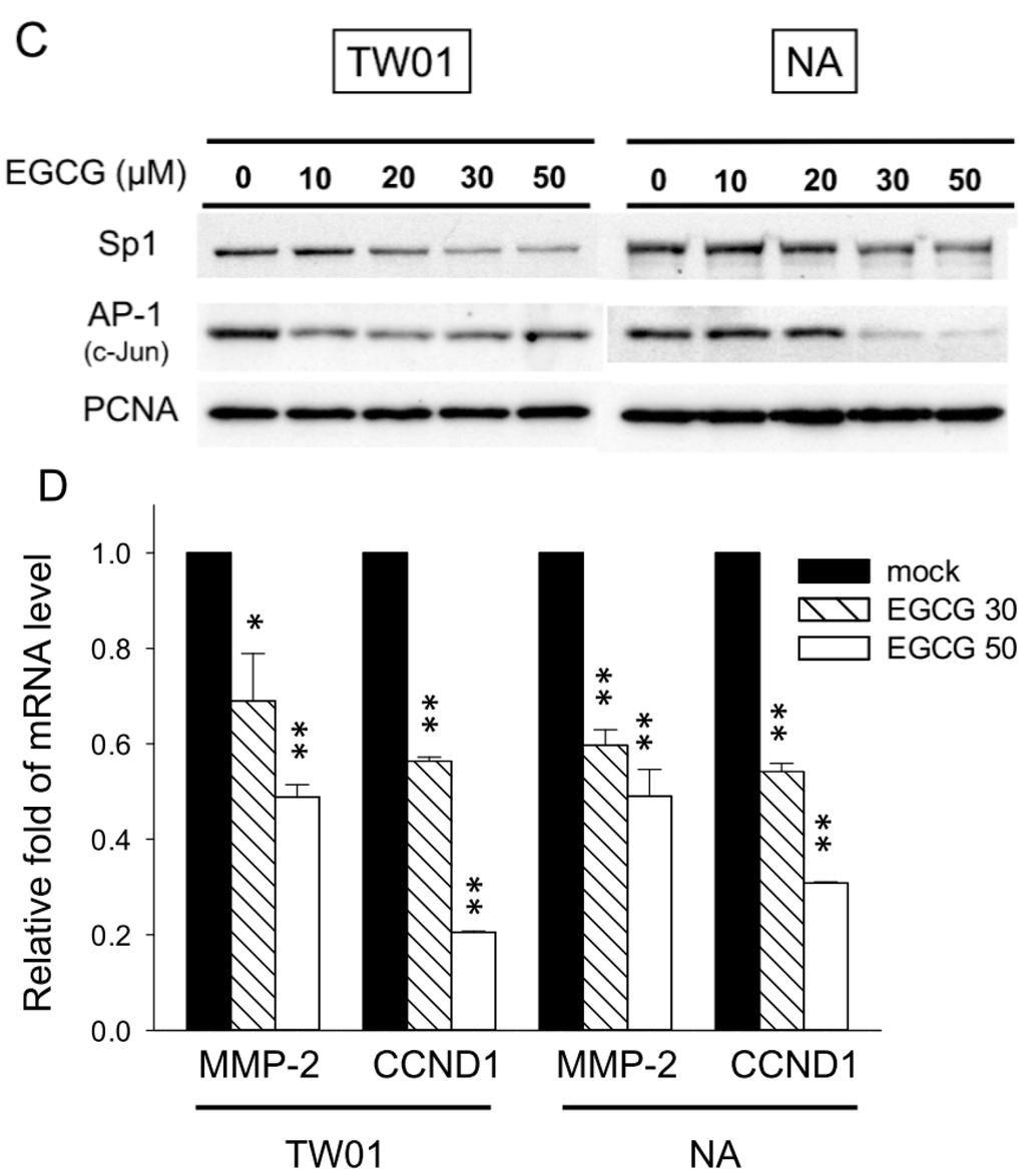 Ijms 16 02530 g004b 1024