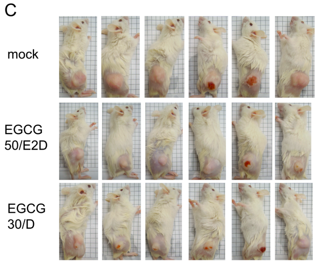 Ijms 16 02530 g006b 1024