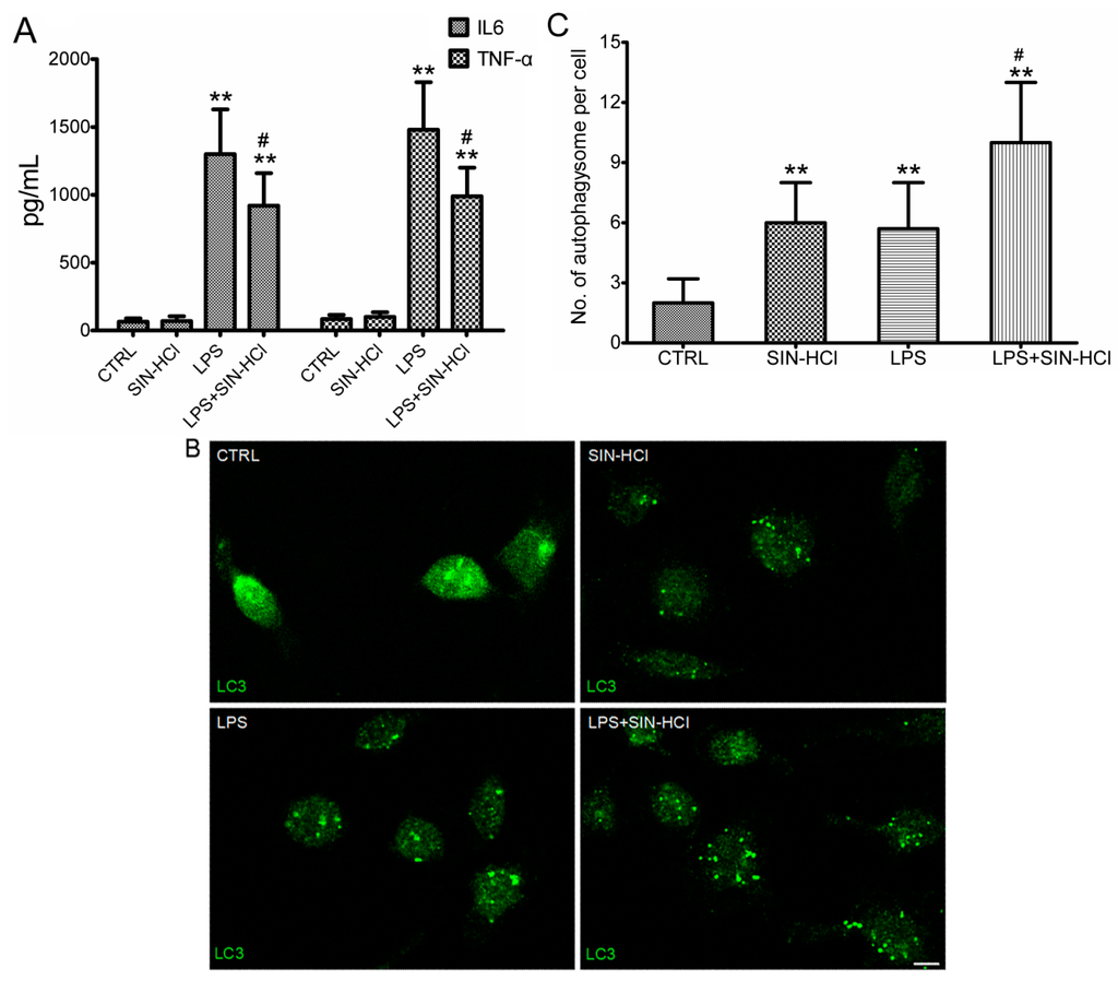 Ijms 16 02559 g004 1024
