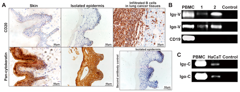 Ijms 16 02574 g003 1024