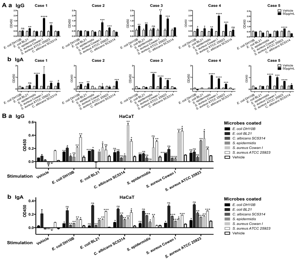 Ijms 16 02574 g004 1024