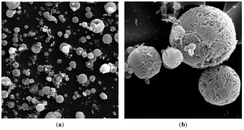 Ijms 16 02693 g001 1024