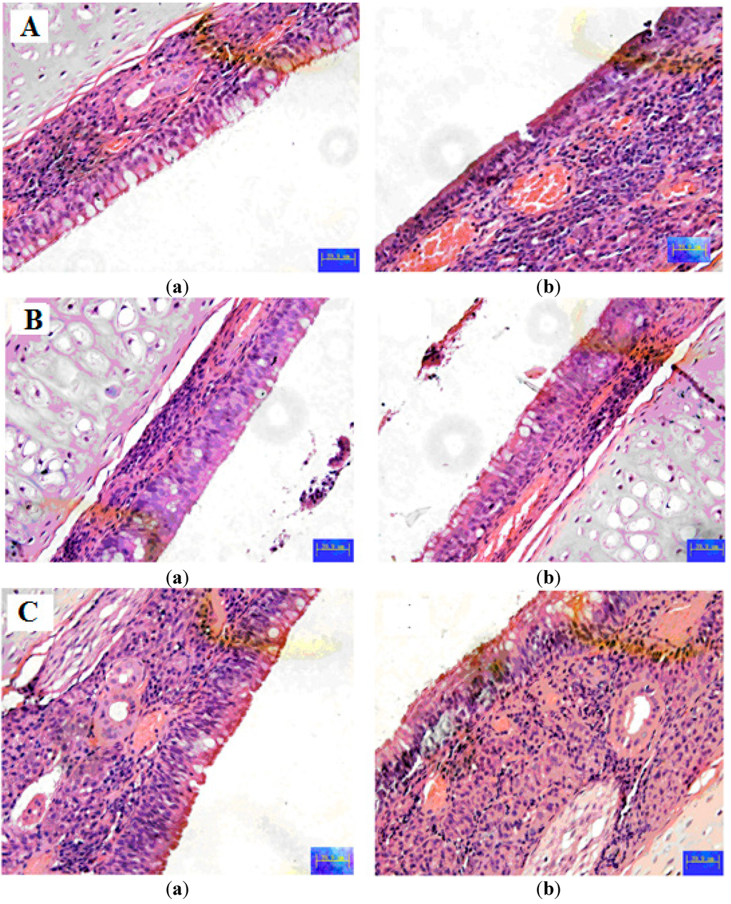 Ijms 16 02693 g005 1024