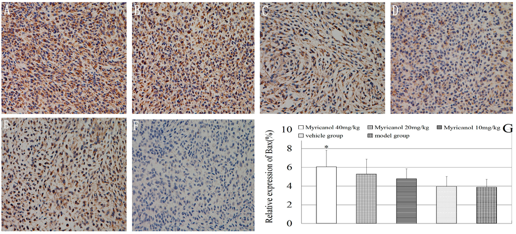 Ijms 16 02717 g003 1024