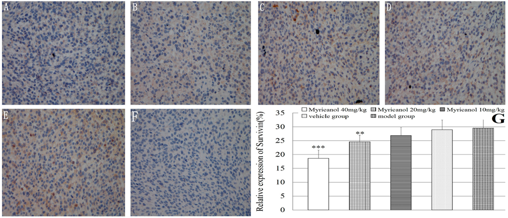 Ijms 16 02717 g007 1024