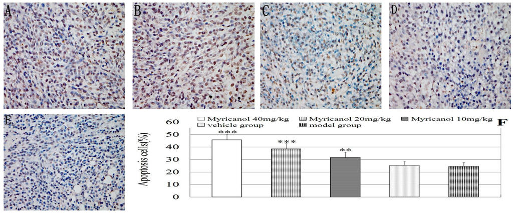 Ijms 16 02717 g009 1024