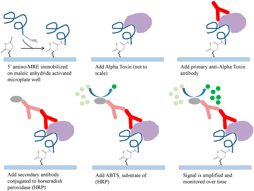 Ijms 16 02794 g003 1024