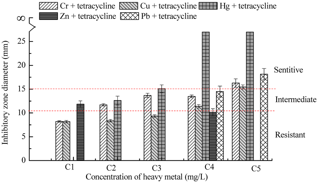 Ijms 16 02839 g004 1024