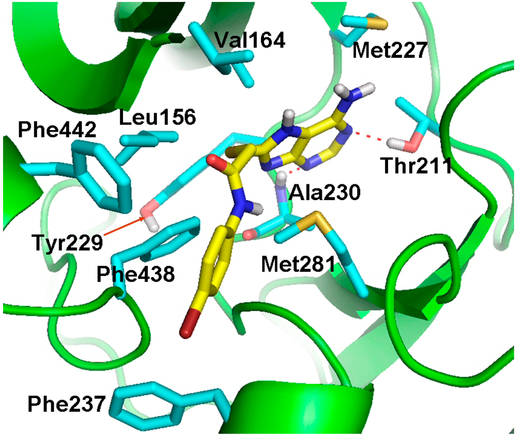 Ijms 16 03202 g008 1024