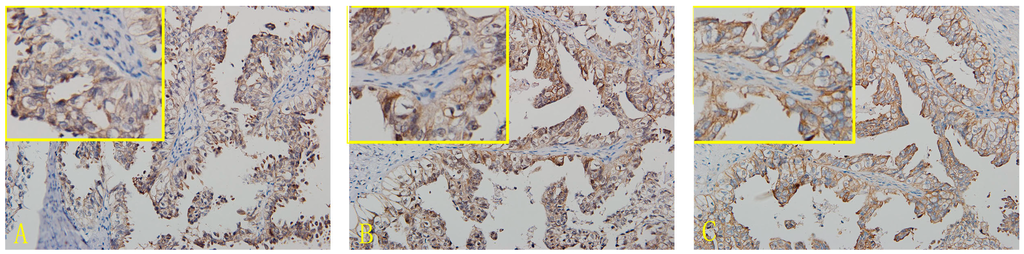 Ijms 16 03391 g001 1024