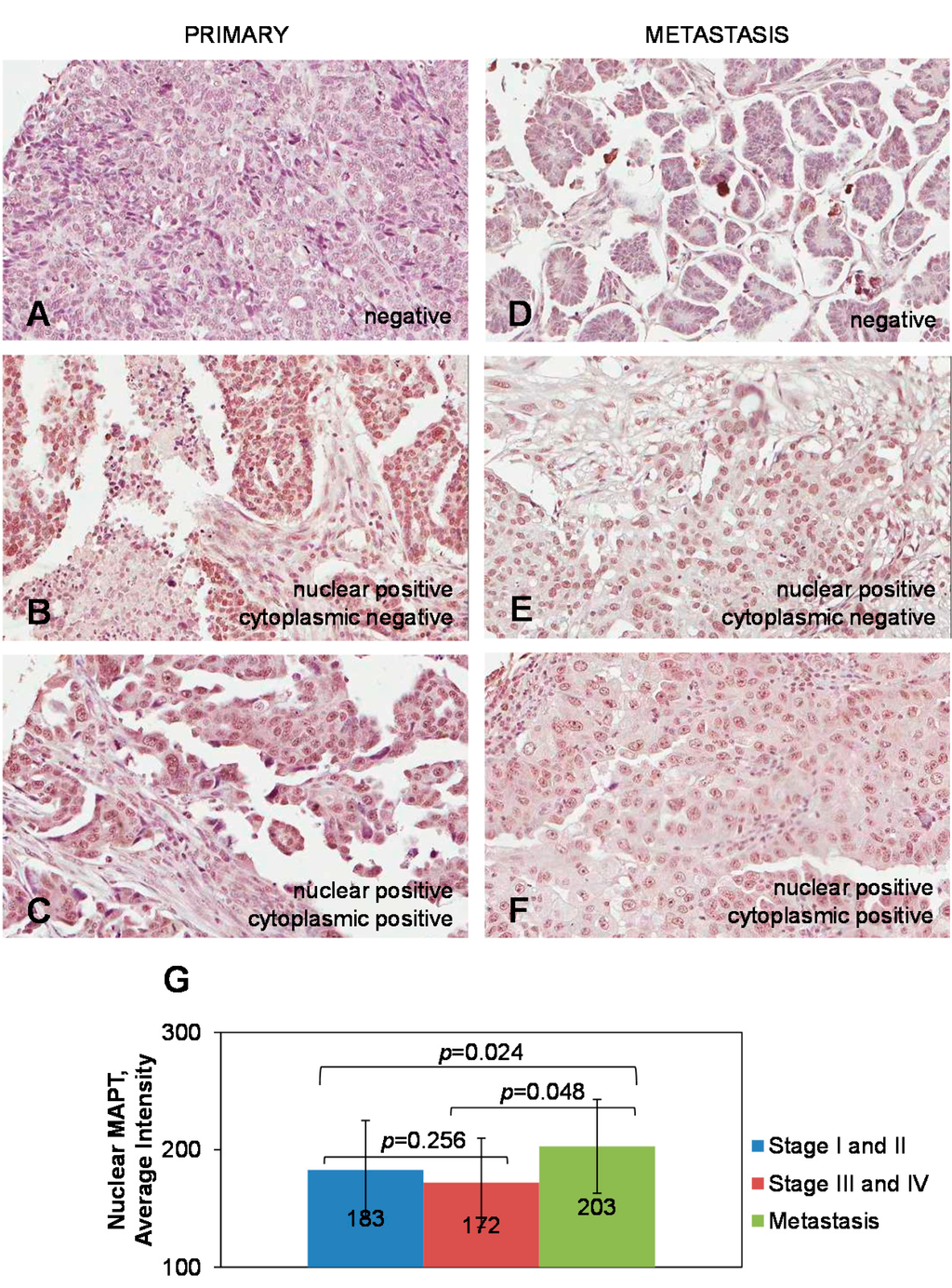 Ijms 16 03419 g001 1024