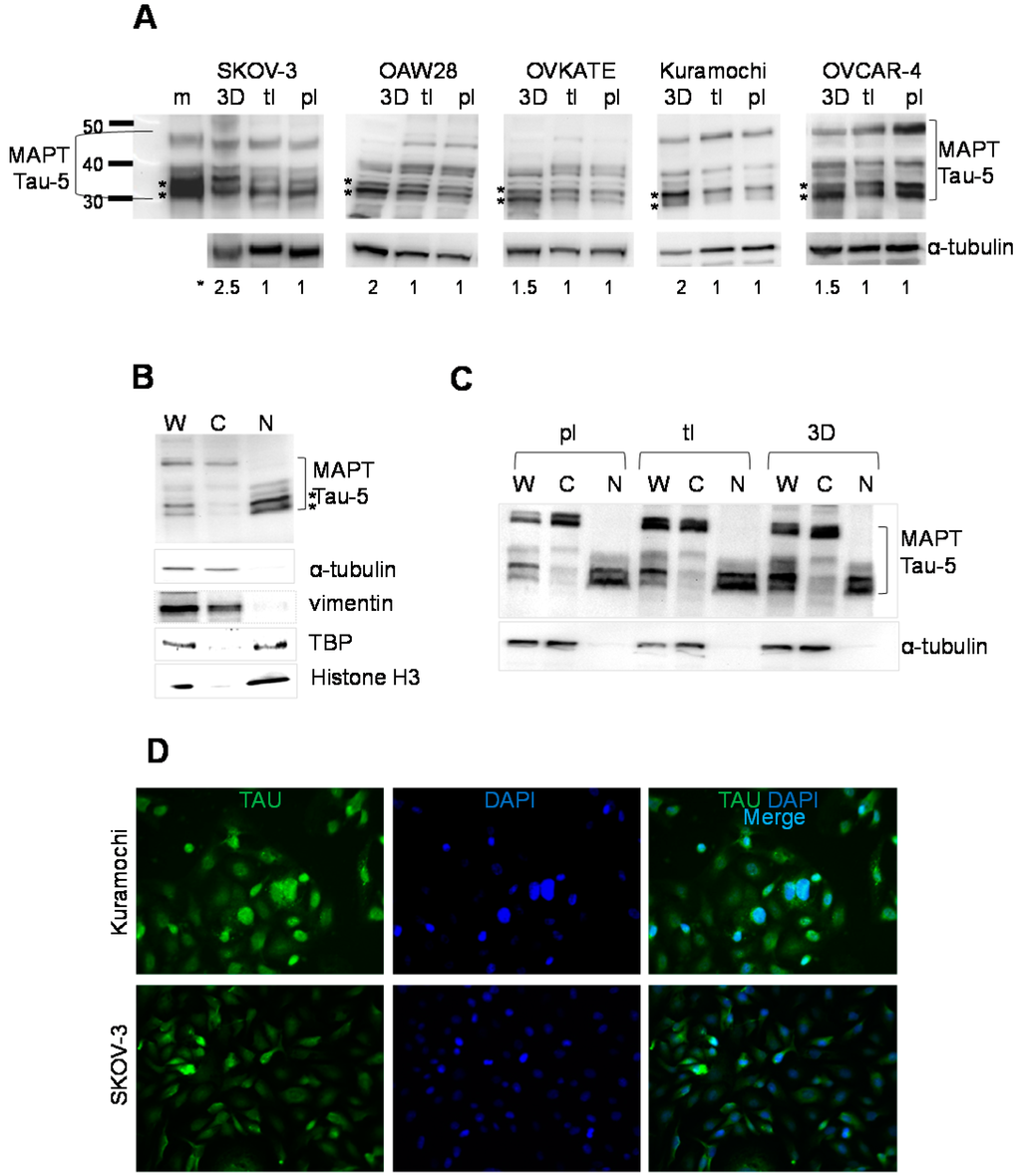 Ijms 16 03419 g002 1024