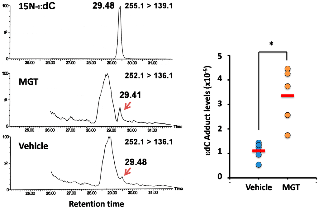 Ijms 16 03474 g004 1024