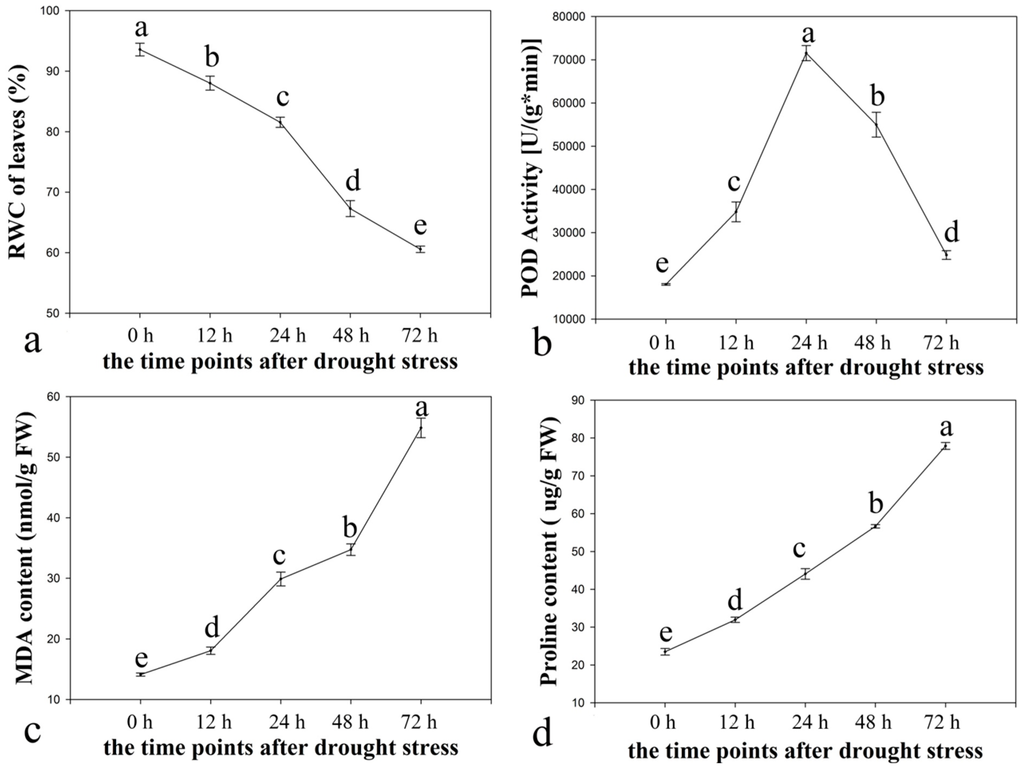 Ijms 16 03493 g001 1024